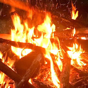 Meet your Posher, Jodie